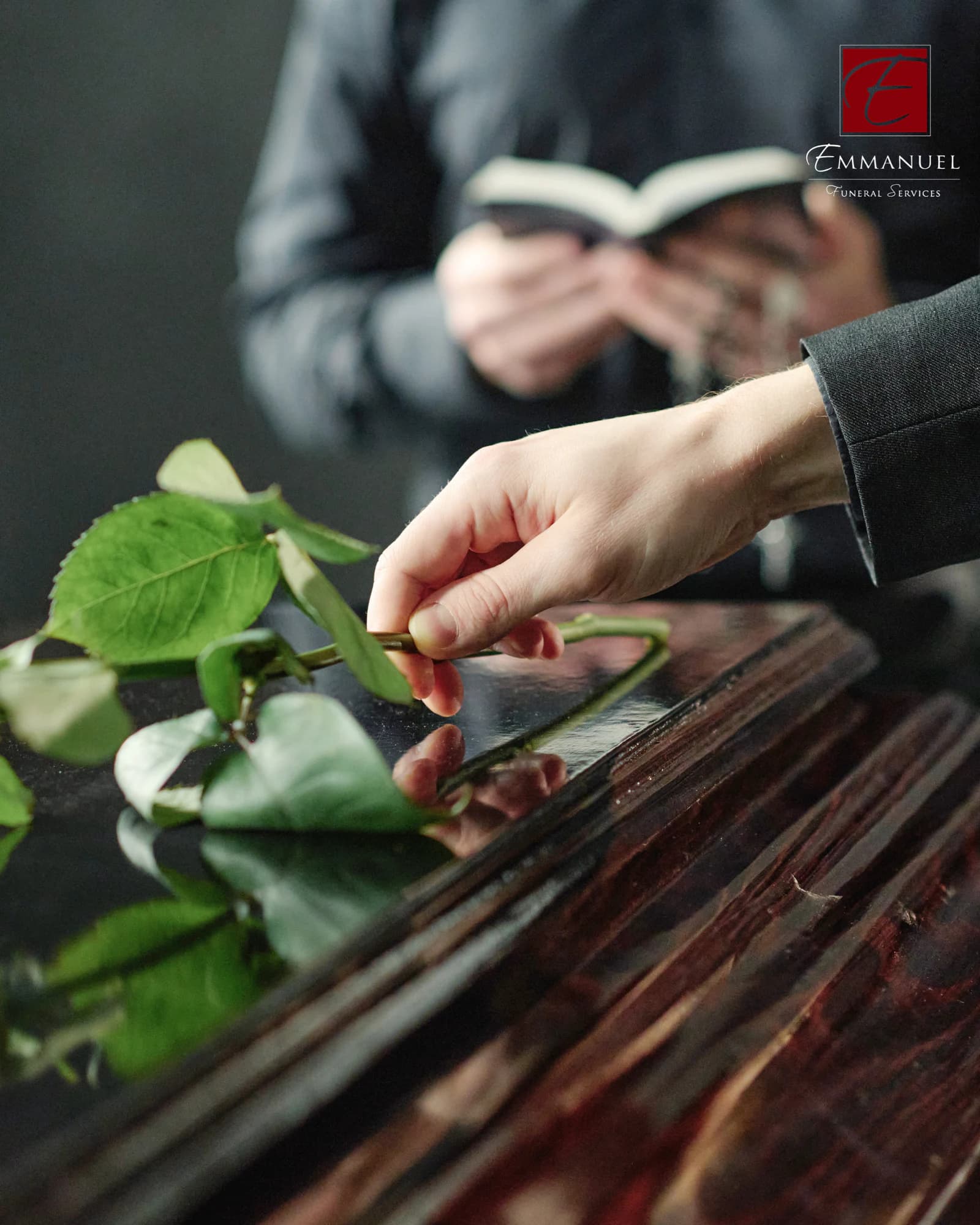 A hand laying a rose on a polished wooden coffin